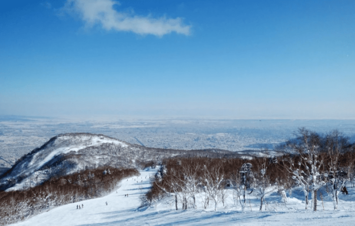 手 稻 滑雪 場