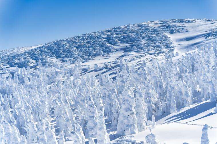 藏 王 溫泉 滑雪 場
