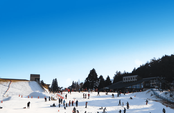 六甲山 滑雪 場 六甲山 滑雪 場