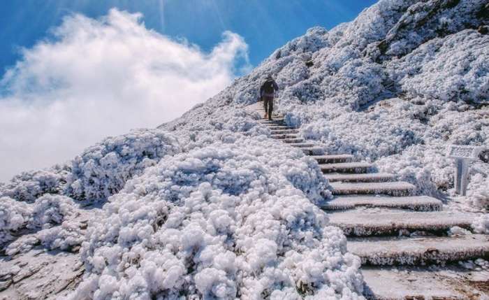 合歡 山 滑雪 場