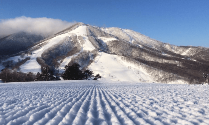 斑尾 高原 滑雪 場