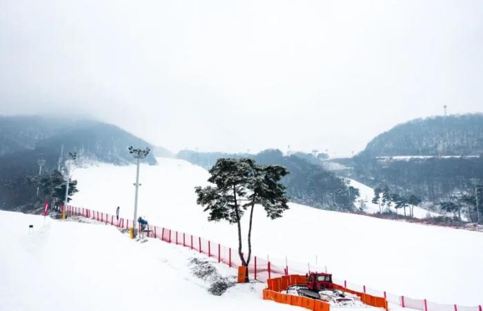 芝山滑雪場