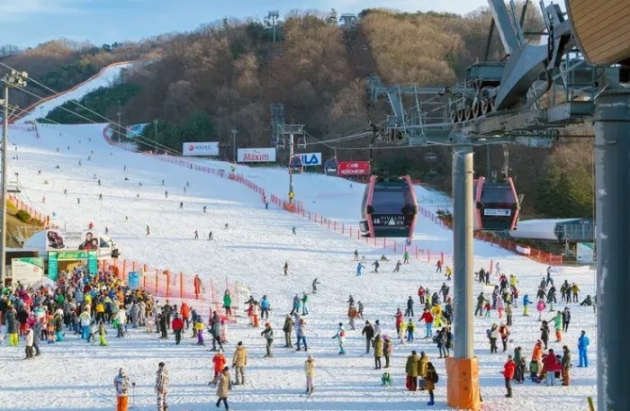 洪川大明滑雪場收費