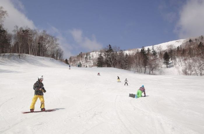 富良野滑雪場交通 富良野滑雪場交通