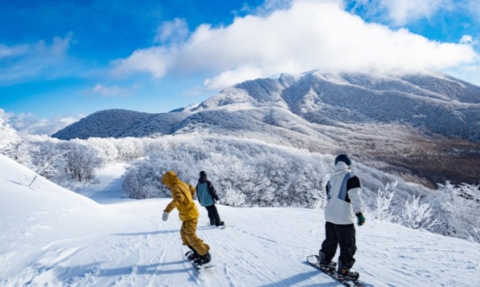 星野滑雪場