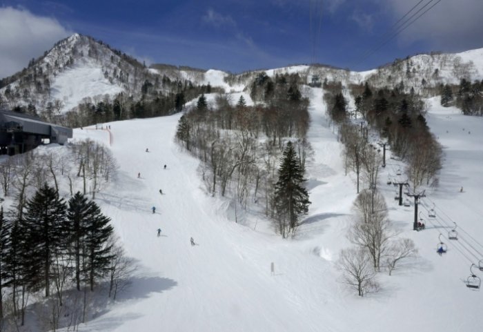 富良野滑雪場簡介 富良野滑雪場簡介