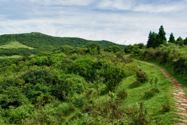 陽明山步道推薦