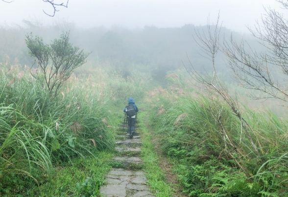陽明山步道推薦