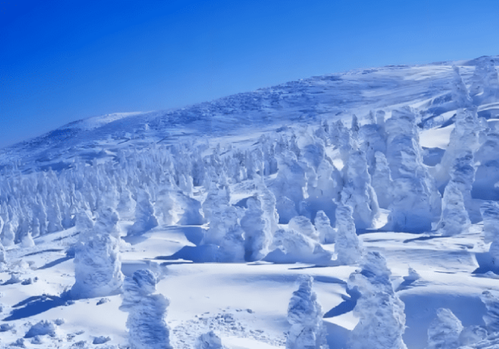 藏王溫泉滑雪場票價