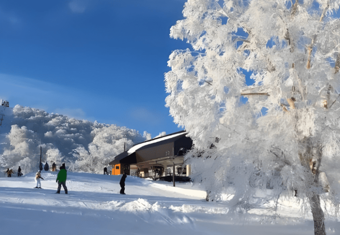野澤溫泉滑雪場