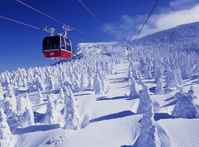 藏王溫泉滑雪場簡介