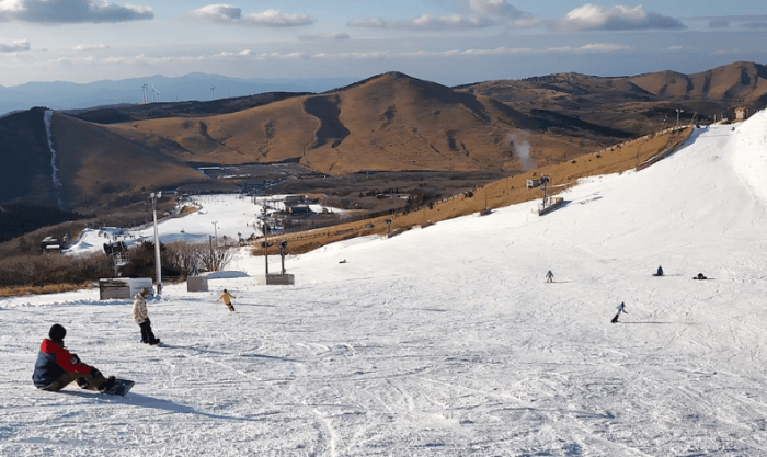 九重森林公園滑雪場簡介