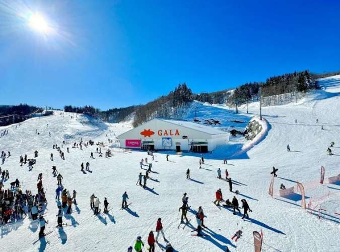東京滑雪場門票價格